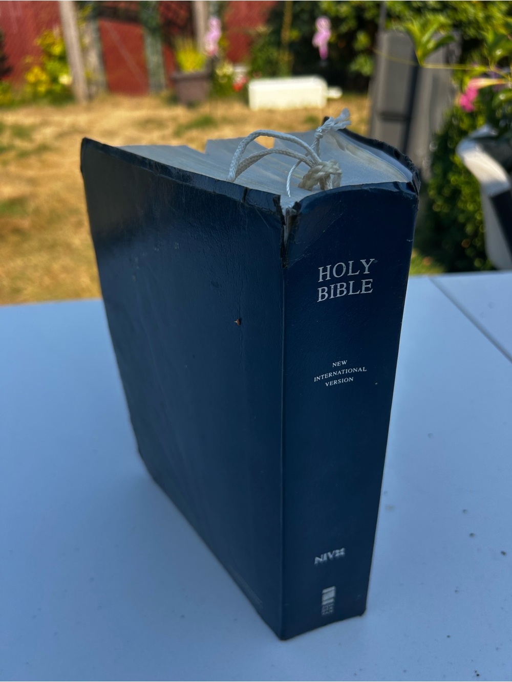 Holy Bible New International Version - Navy Blue by NIV 1988